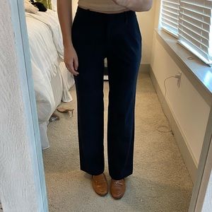 Navy Ann Taylor Petite Trousers